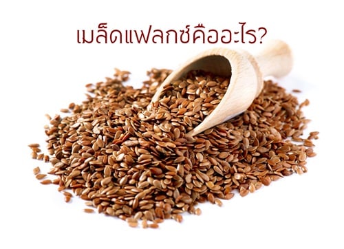 เมล็ดแฟลกซ์คืออะไร? thaihealth