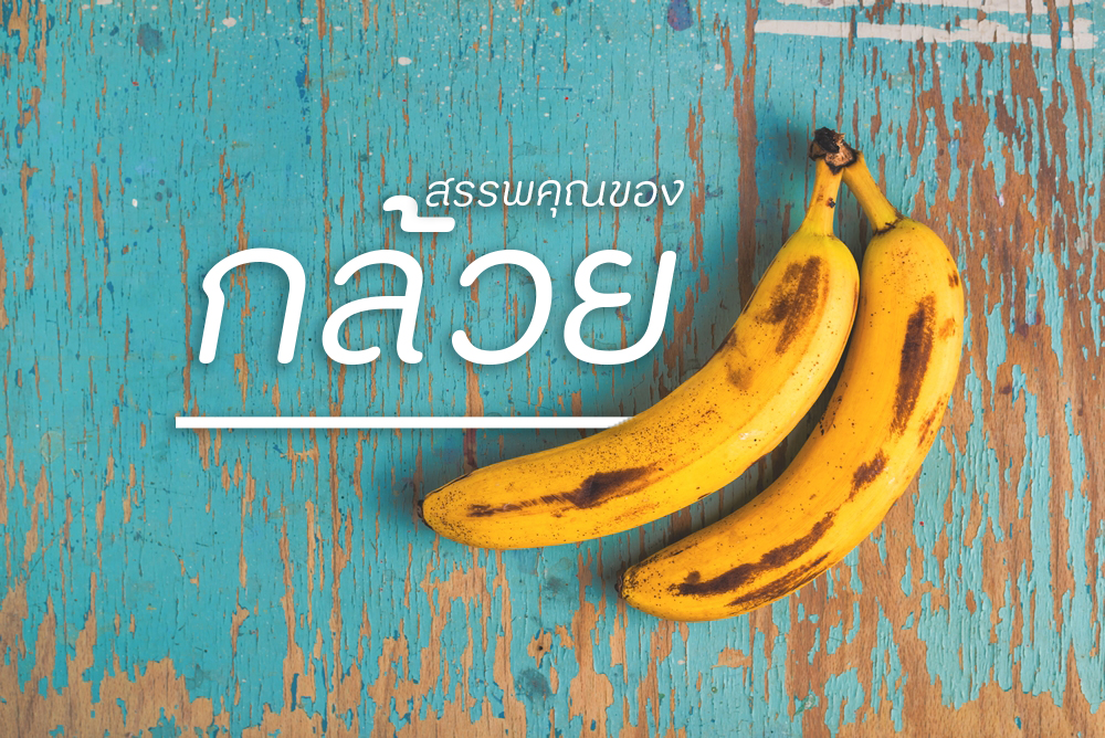 สรรพคุณของ 