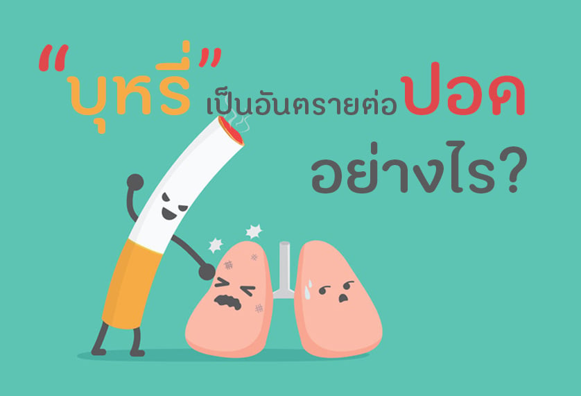 บุหรี่เป็นอันตรายต่อปอดอย่างไร? thaihealth