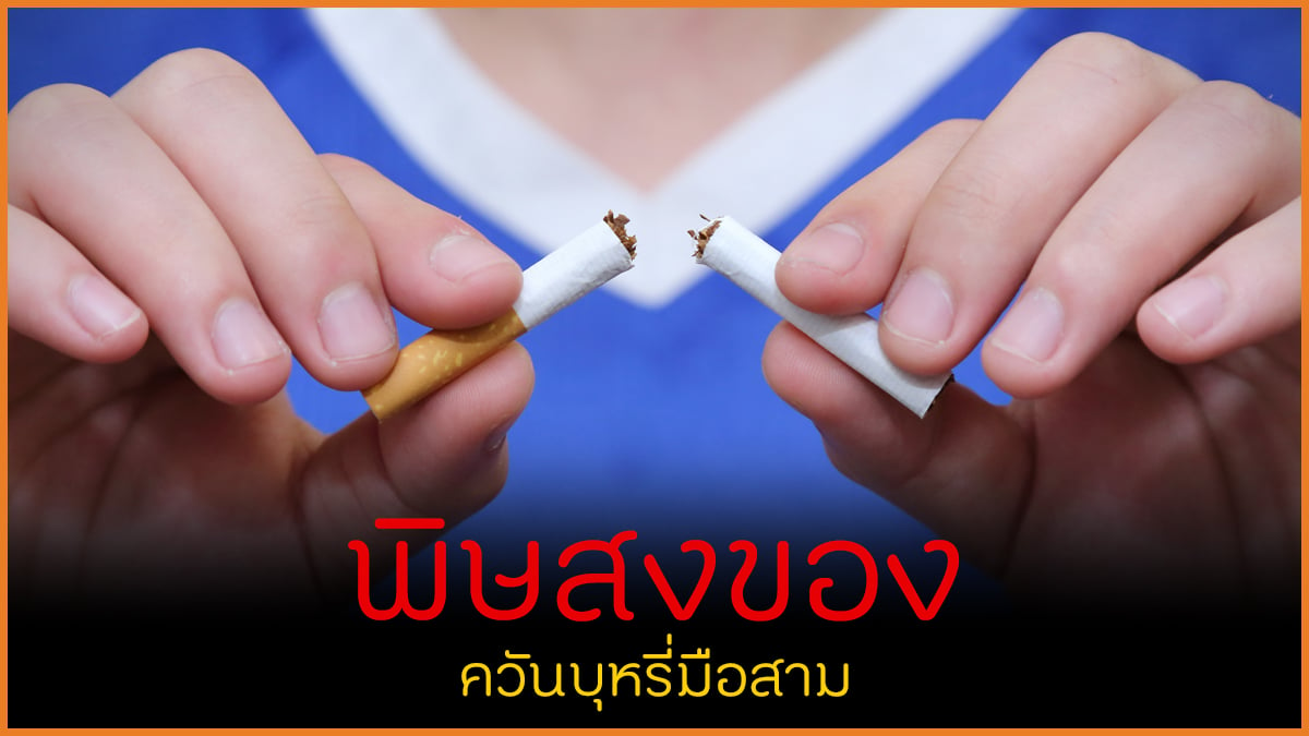 พิษสงของ ควันบุหรี่มือสาม - สำนักงานกองทุนสนับสนุนการสร้างเสริมสุขภาพ ...